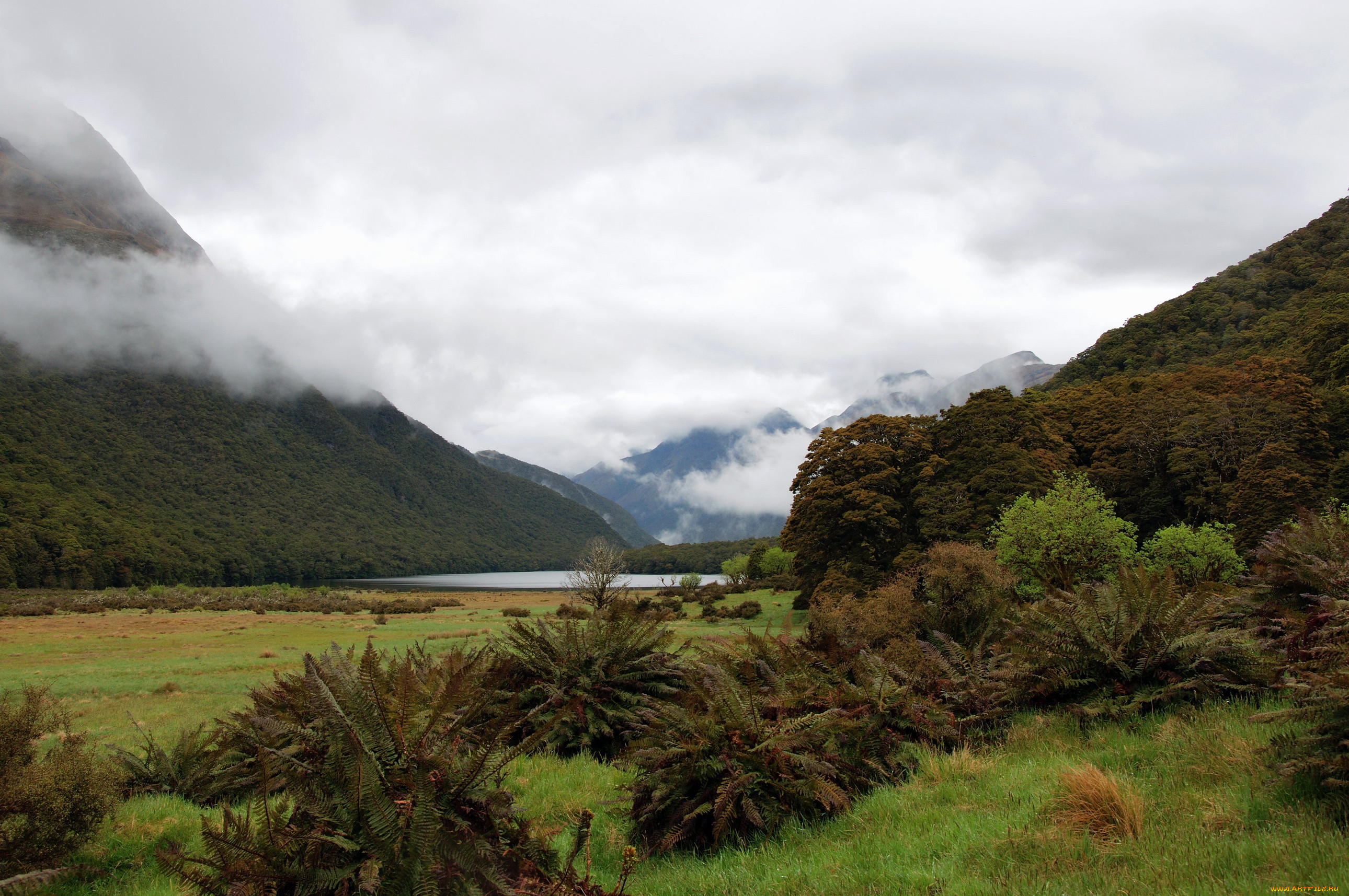 fiordland, national, park, , , , , 